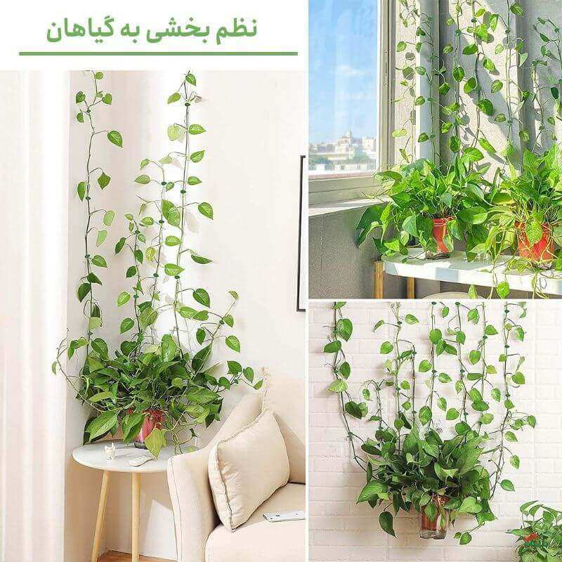 قیم بند مدل برگ بسته 20 عددی