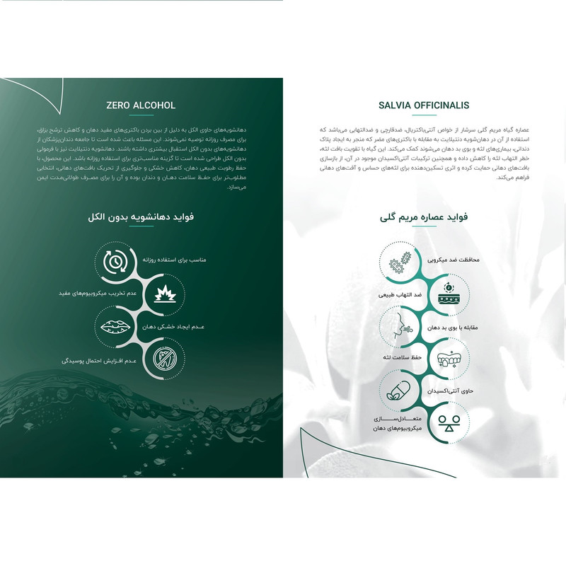 دهان شویه دنتیلایت مدل پست بیوتیک حجم 500 میلیلیتر