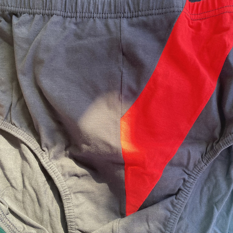 شورت مردانه گرگوری مدل 1330 مجموعه 2 عددی