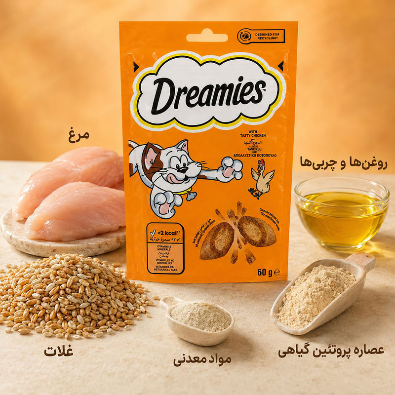 غذای تشویقی گربه دریمز مدل Snack With Chicken وزن 60 گرم
