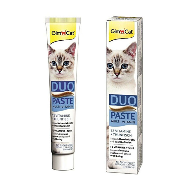 خمیر مولتی ویتامین جیم کت مدل Duo Paste ماهی تن وزن 50 گرم