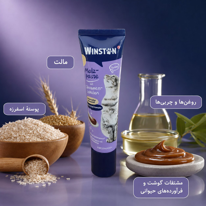 خمیر مالت گربه بالغ وینستون مدل آنتی هیربال وزن 300 گرم مجموعه 3 عددی