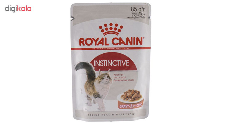 پوچ گربه رویال کنین مدل Instinctive وزن 85 گرم