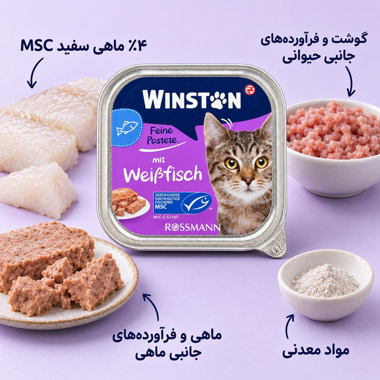 کنسرو گربه بالغ وینستون مدل Fine Pate طعم ماهی سفید وزن 100 گرم