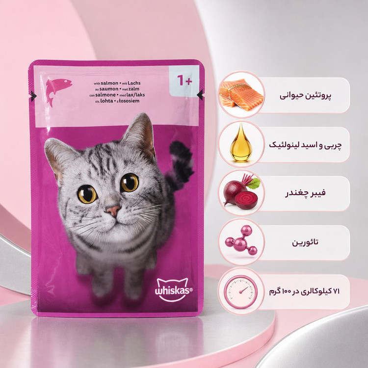 پوچ گربه بالغ ویسکاس مدل In Jelly طعم ماهی سالمون وزن 85 گرم