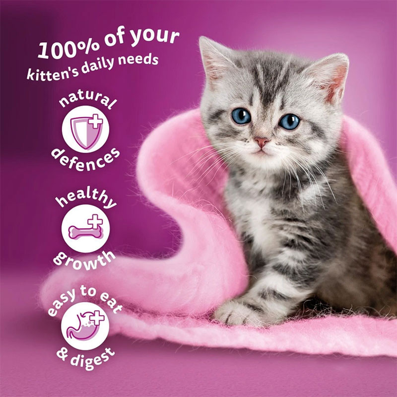 پوچ بچه گربه ویسکاس مدل Kitten in Jelly با طعم ماهی تن وزن 85 گرم