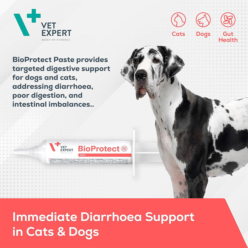 خمیر بیوپروتکت وت اکسپرت سگ و گربه مدل BioProtect Paste مناسب برای سلامت دستگاه گوارش حجم 15 میلیلیتر
