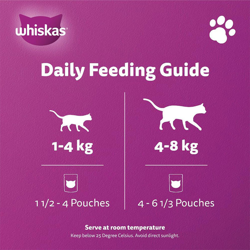 پوچ گربه ویسکاس مدل Cat Pouch in Jelly طعم ماهی اقیانوسی وزن 80 گرم