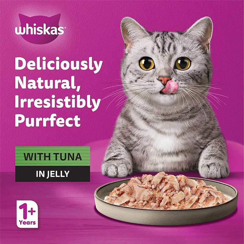 پوچ گربه بالغ ویسکاس مدل Purrfectly Jelly طعم ماهی وزن 85 گرم بسته 24 عددی