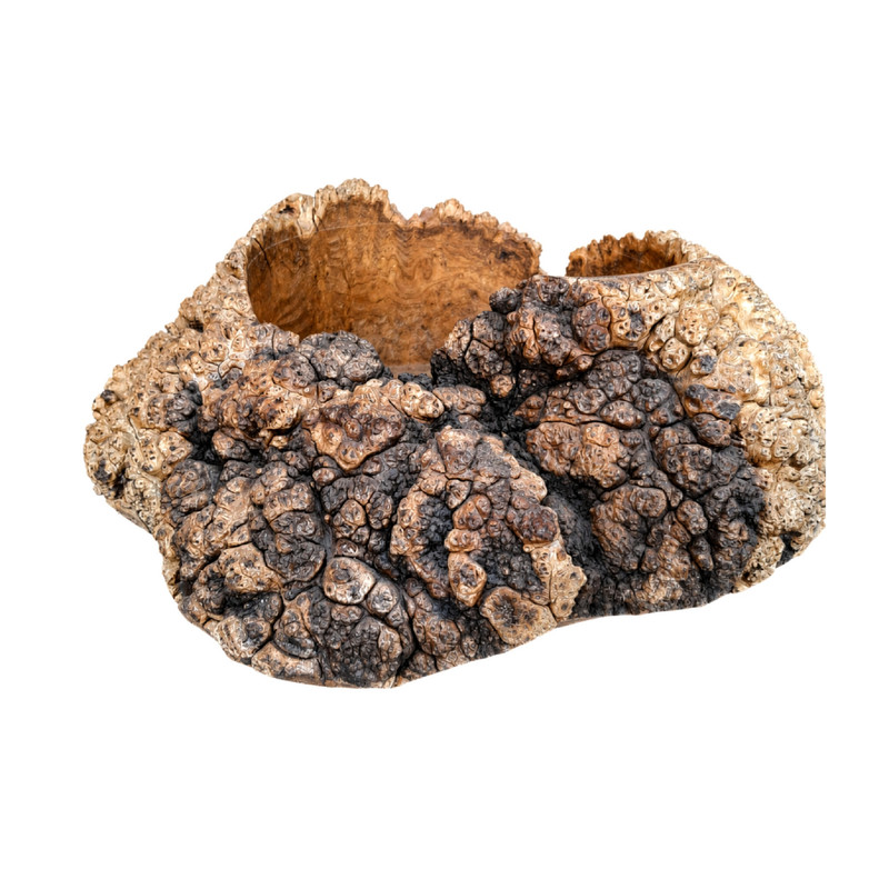 شکلات خوری چوبی مدل جوش جنگلی