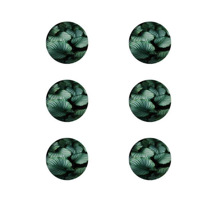 زیر لیوانی طرح گلبرگ کد 8535 بسته 6 عددی
