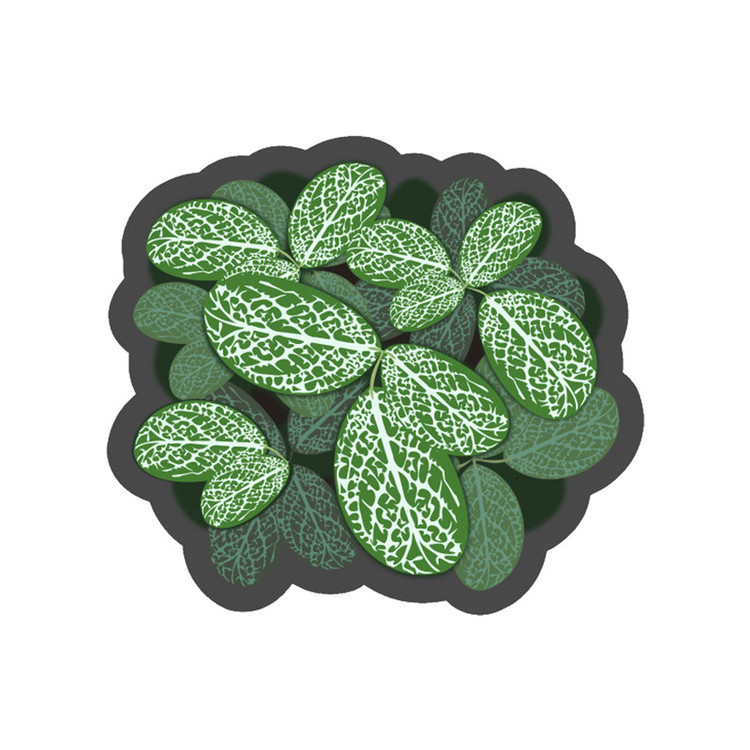 استیکر لپ تاپ طرح کد STL1208