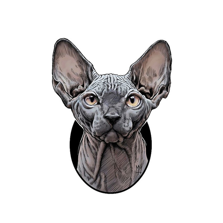 استیکر لپ تاپ طرح گربه کد STL681