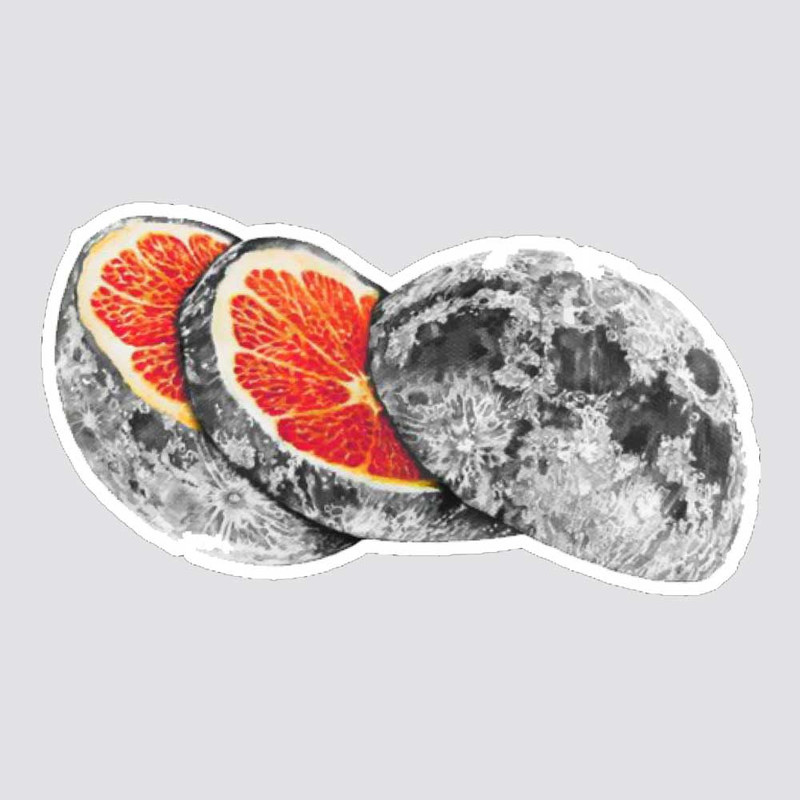 استیکر لپ تاپ پیکسل میکسل مدل دخترانه اسکلت گلدار مجموعه 6 عددی