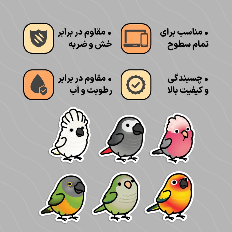 استیکر لپ تاپ طوطی مدل کاسکو گلارز سان کانور کاکادو سنگال راهب بسته ۵ عددی
