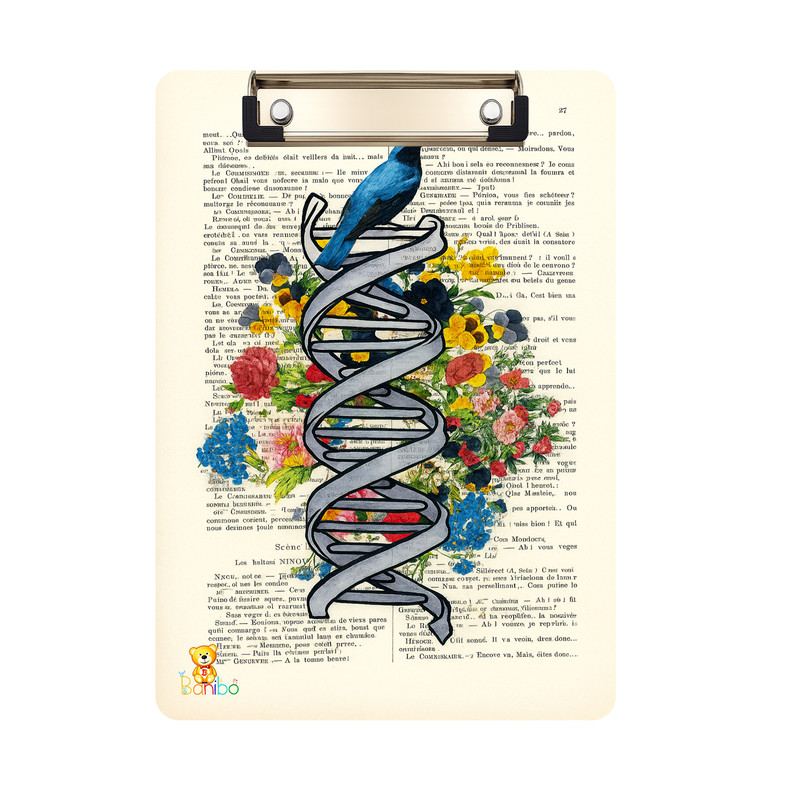 تخته شاسی بانیبو طرح  DNA کد 2731 سایز a4