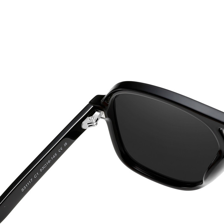 عینک آفتابی خلبانی (Aviator) آلبرت وگ مدل S31117C1 Acetate Avantgarde Visionary